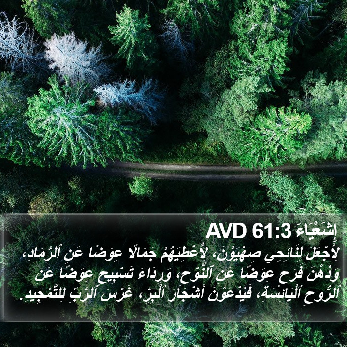 إِشَعْيَاءَ 61:3 AVD Bible Study