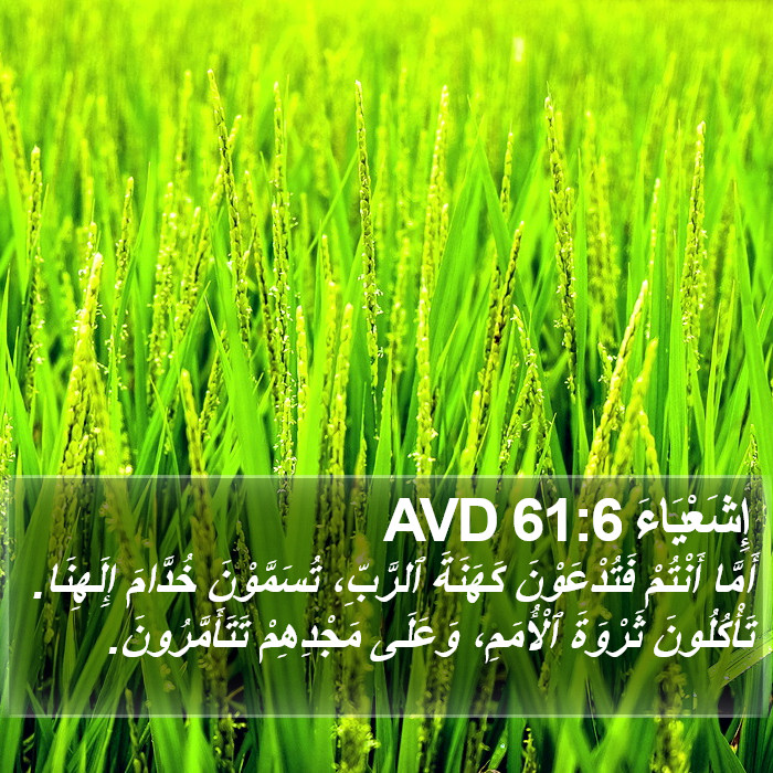 إِشَعْيَاءَ 61:6 AVD Bible Study