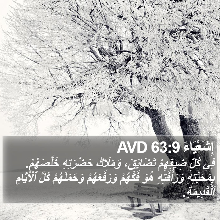 إِشَعْيَاءَ 63:9 AVD Bible Study