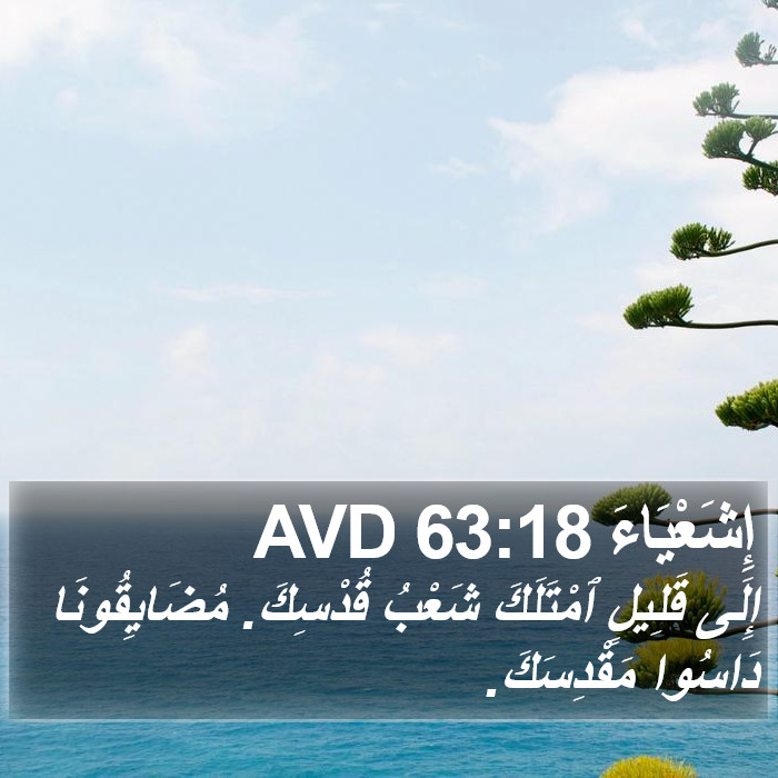 إِشَعْيَاءَ 63:18 AVD Bible Study