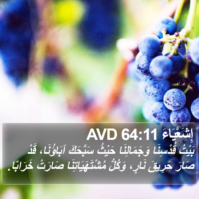 إِشَعْيَاءَ 64:11 AVD Bible Study