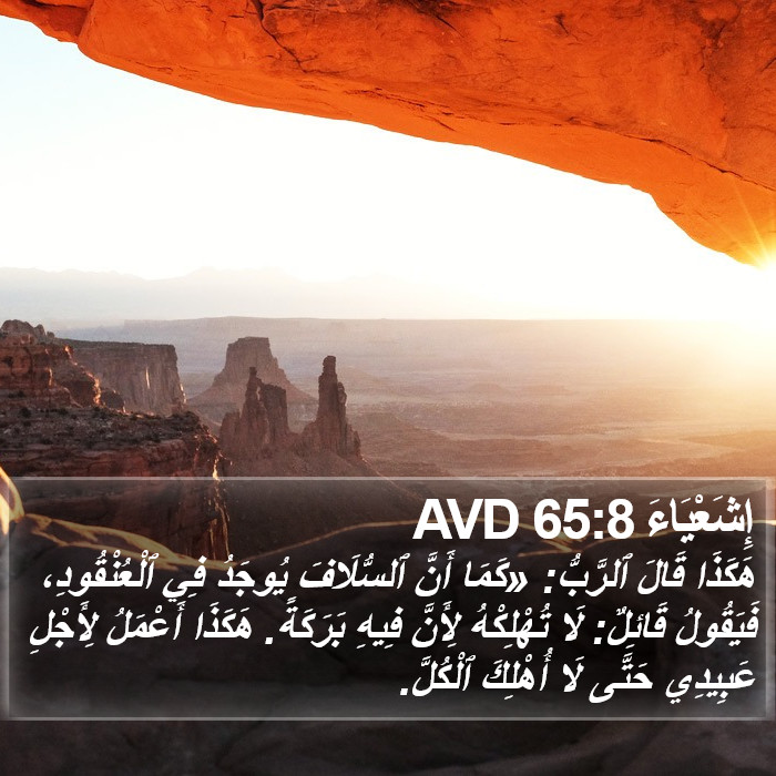 إِشَعْيَاءَ 65:8 AVD Bible Study