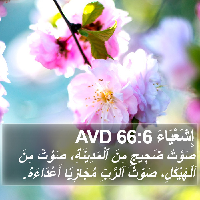 إِشَعْيَاءَ 66:6 AVD Bible Study