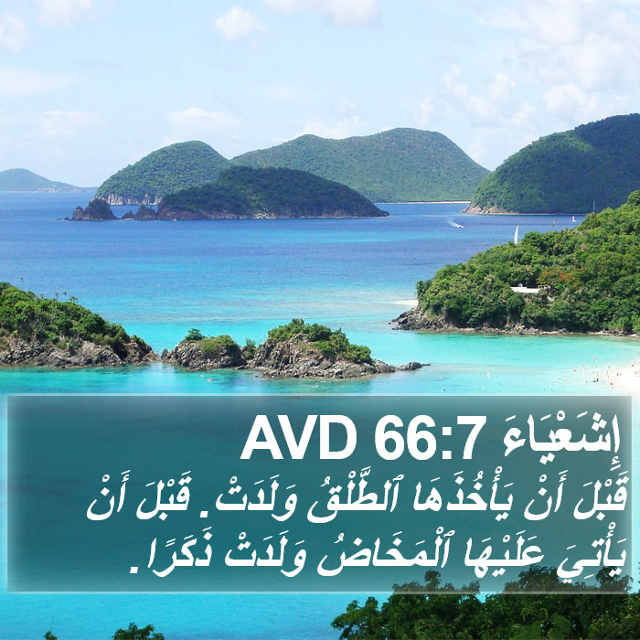 إِشَعْيَاءَ 66:7 AVD Bible Study