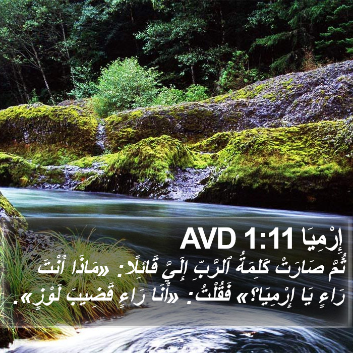 إِرْمِيَا 1:11 AVD Bible Study