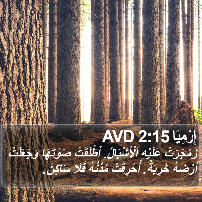 إِرْمِيَا 2:15 AVD Bible Study