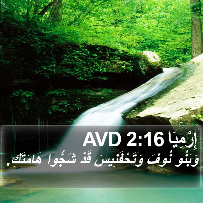 إِرْمِيَا 2:16 AVD Bible Study