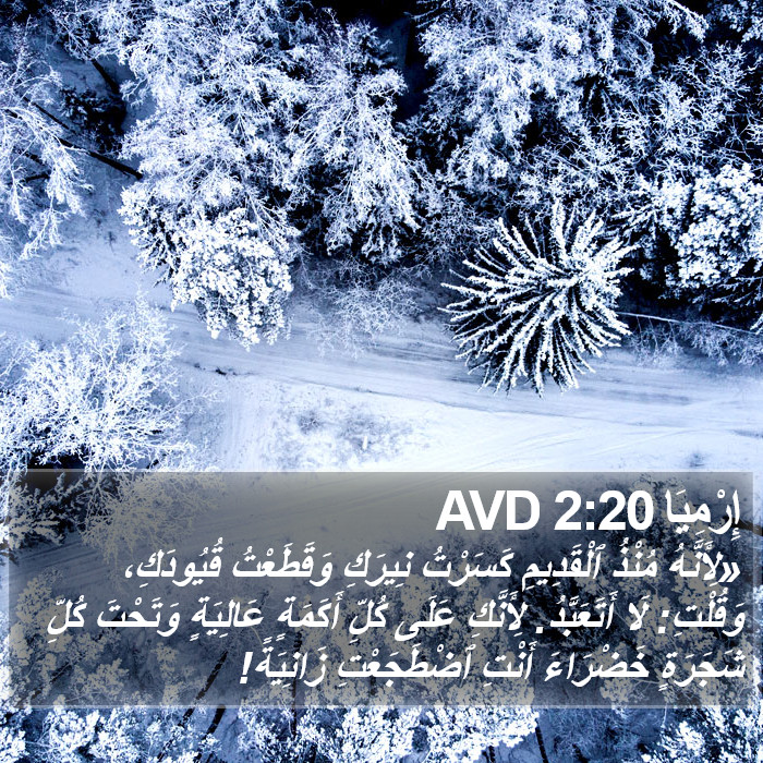 إِرْمِيَا 2:20 AVD Bible Study