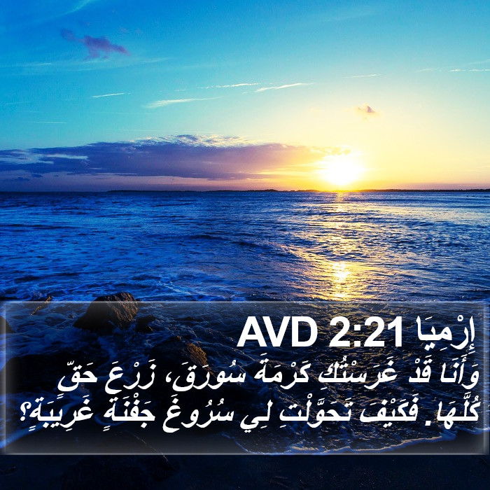 إِرْمِيَا 2:21 AVD Bible Study