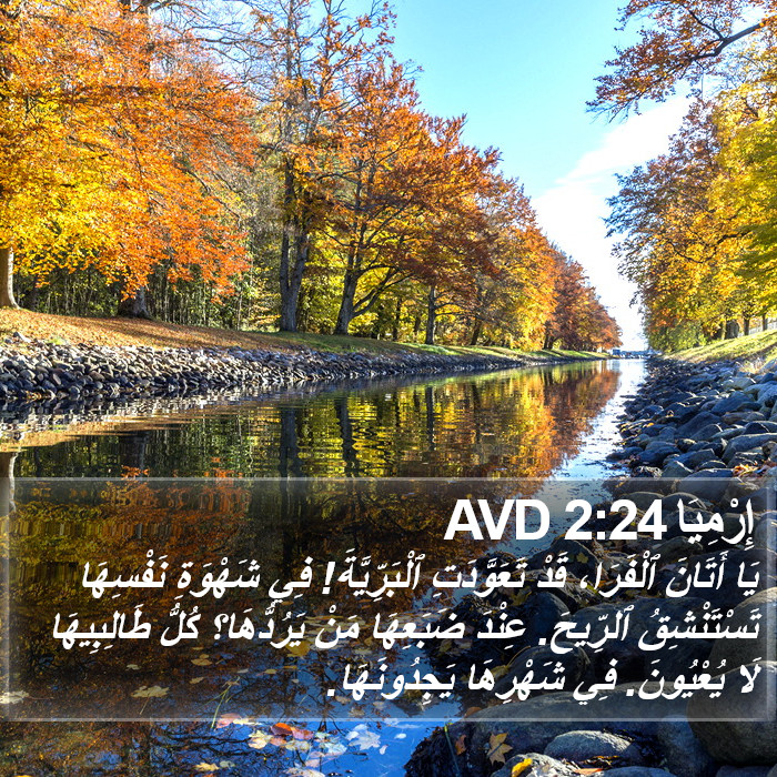 إِرْمِيَا 2:24 AVD Bible Study