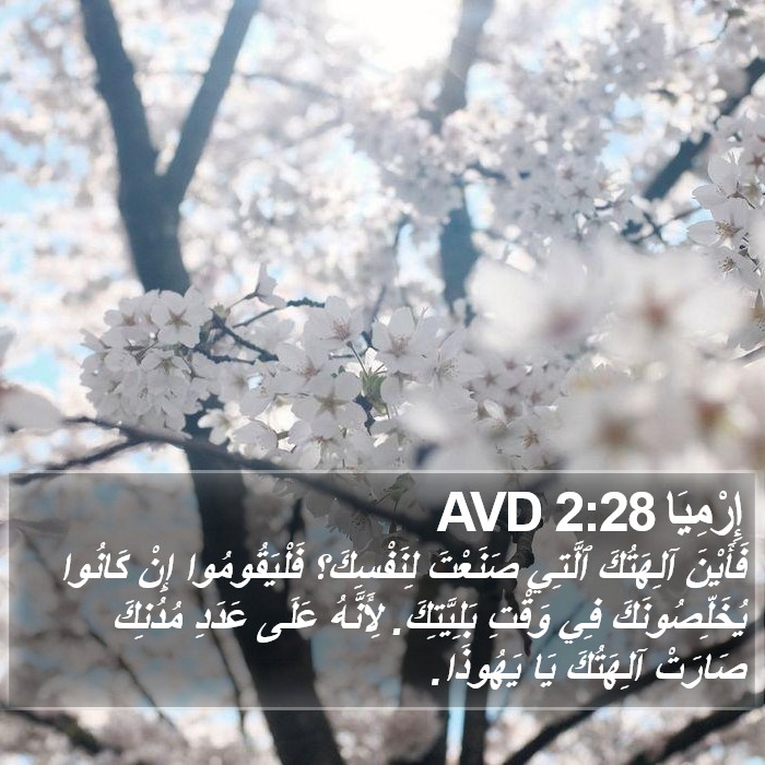 إِرْمِيَا 2:28 AVD Bible Study