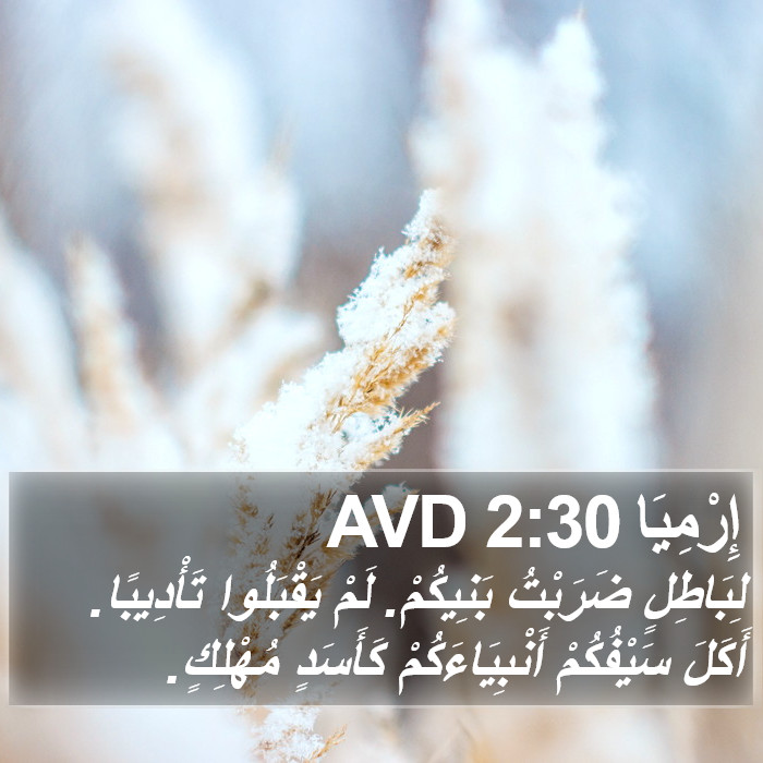 إِرْمِيَا 2:30 AVD Bible Study