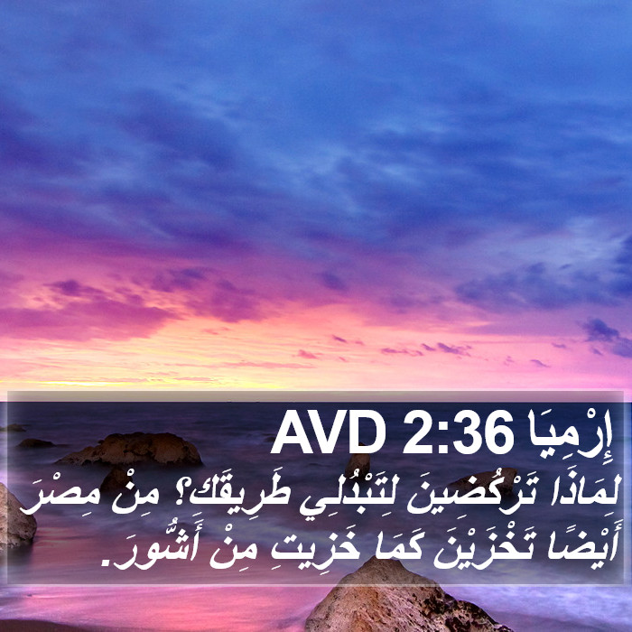 إِرْمِيَا 2:36 AVD Bible Study