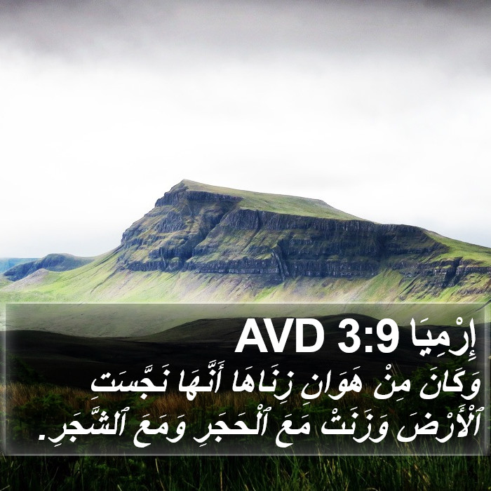 إِرْمِيَا 3:9 AVD Bible Study