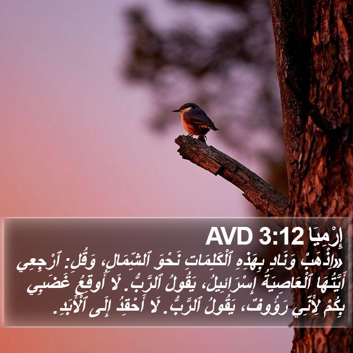 إِرْمِيَا 3:12 AVD Bible Study