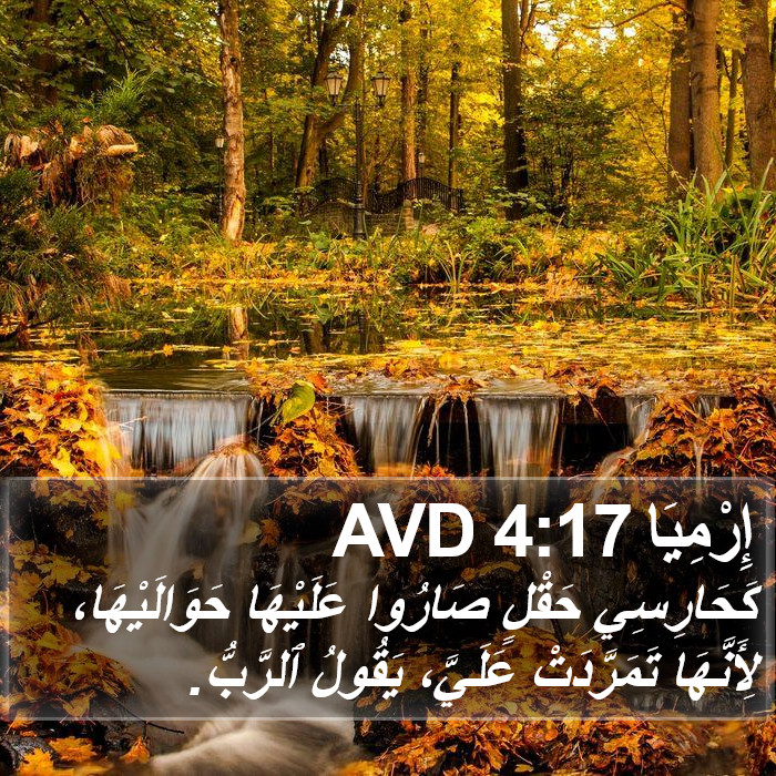 إِرْمِيَا 4:17 AVD Bible Study