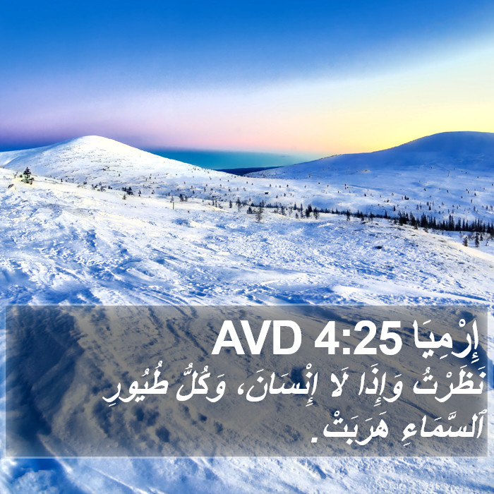 إِرْمِيَا 4:25 AVD Bible Study