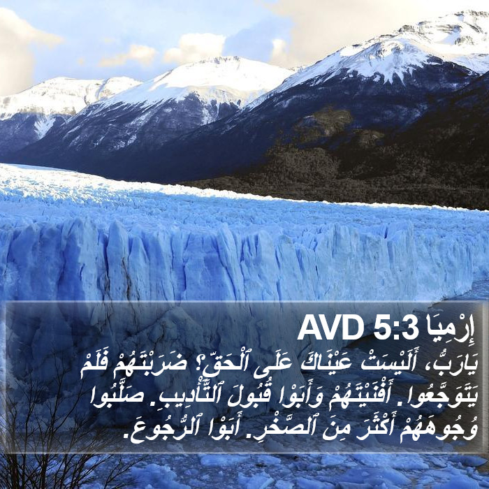 إِرْمِيَا 5:3 AVD Bible Study
