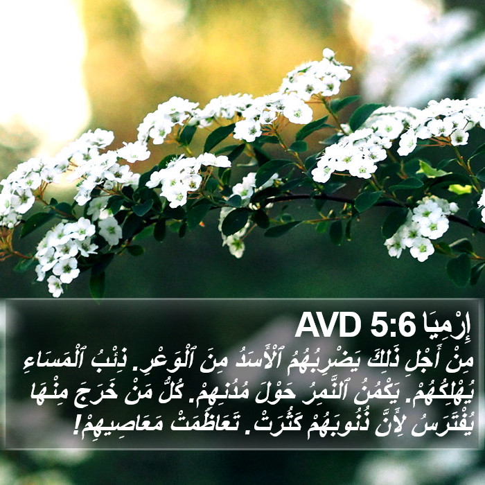 إِرْمِيَا 5:6 AVD Bible Study
