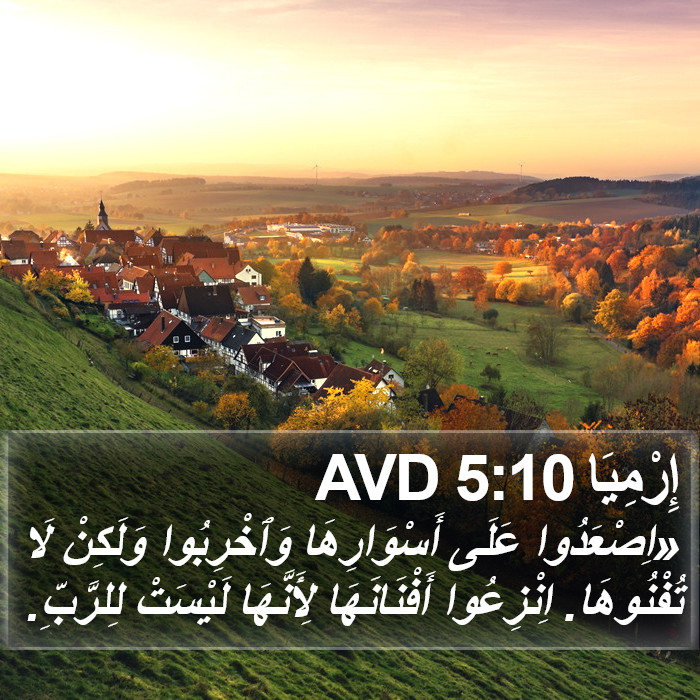 إِرْمِيَا 5:10 AVD Bible Study