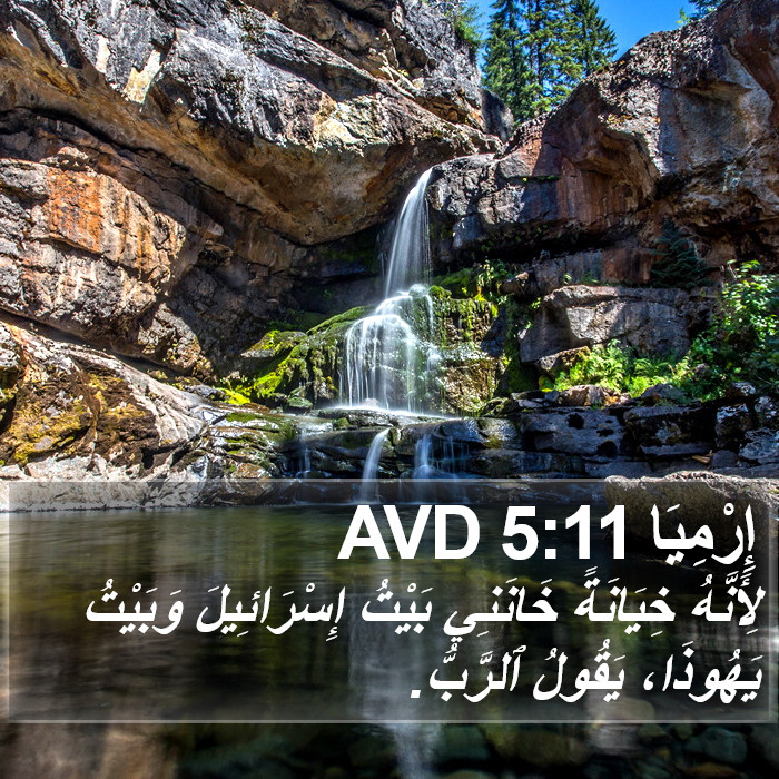 إِرْمِيَا 5:11 AVD Bible Study