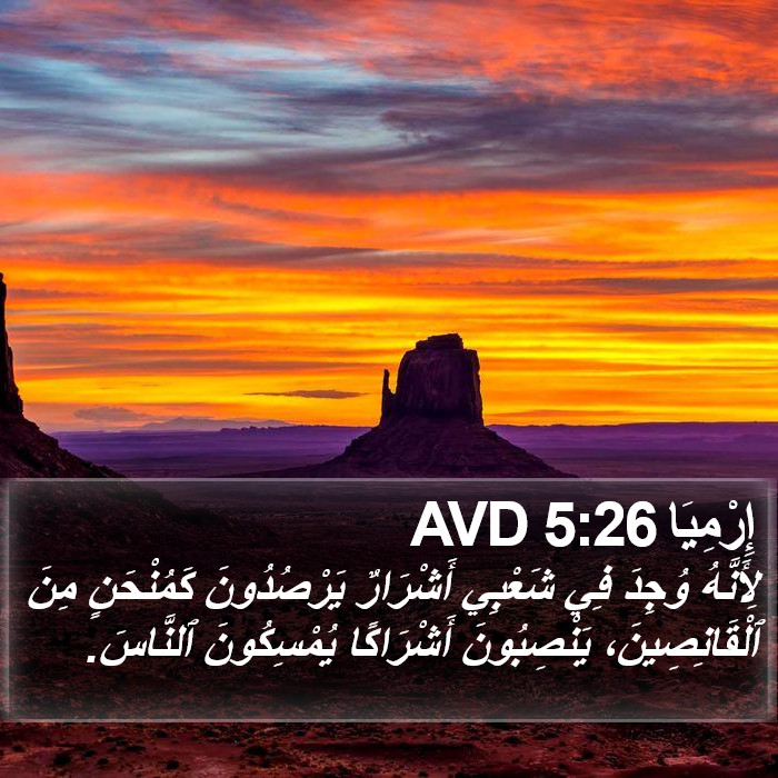 إِرْمِيَا 5:26 AVD Bible Study