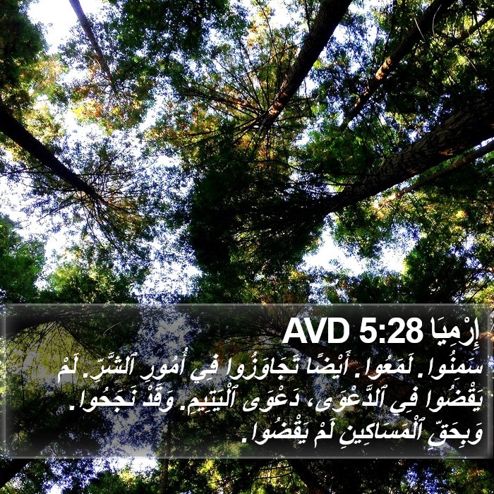 إِرْمِيَا 5:28 AVD Bible Study
