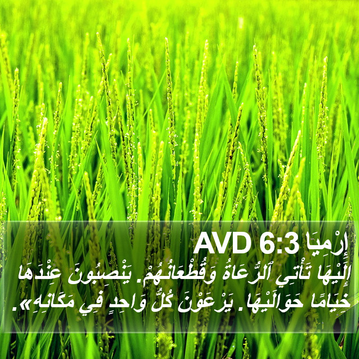 إِرْمِيَا 6:3 AVD Bible Study