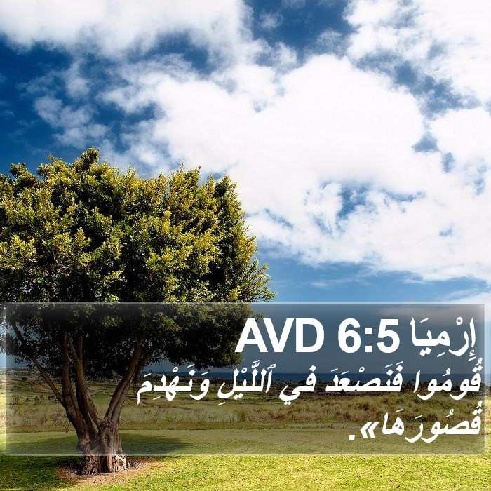 إِرْمِيَا 6:5 AVD Bible Study