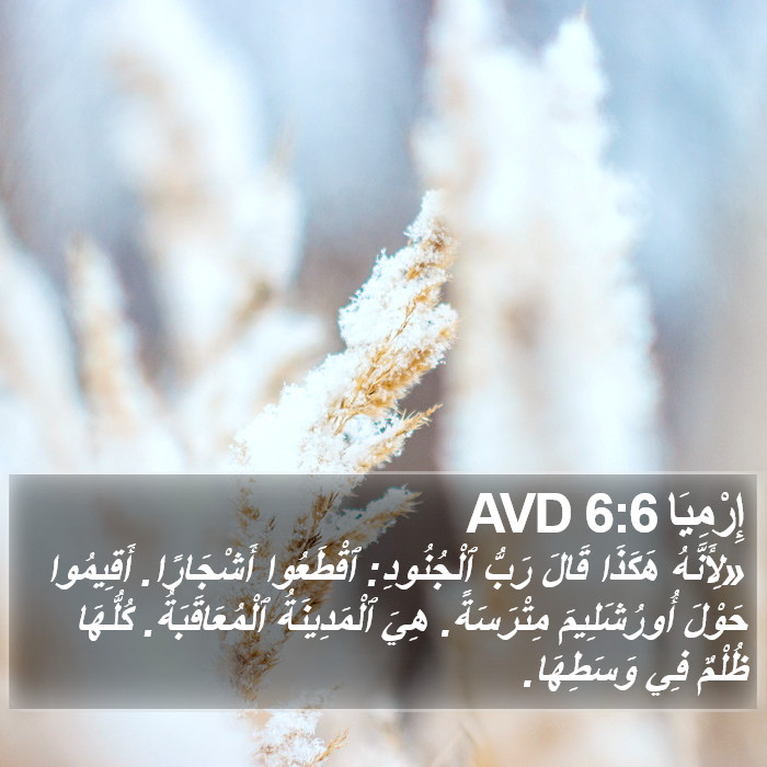 إِرْمِيَا 6:6 AVD Bible Study