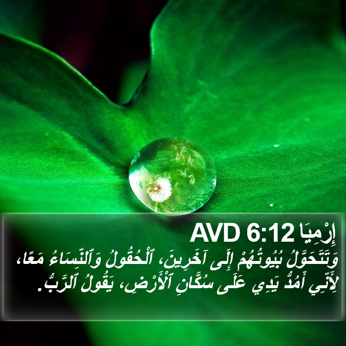 إِرْمِيَا 6:12 AVD Bible Study
