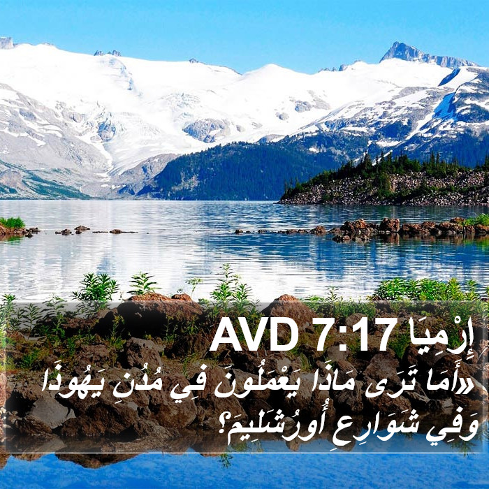 إِرْمِيَا 7:17 AVD Bible Study