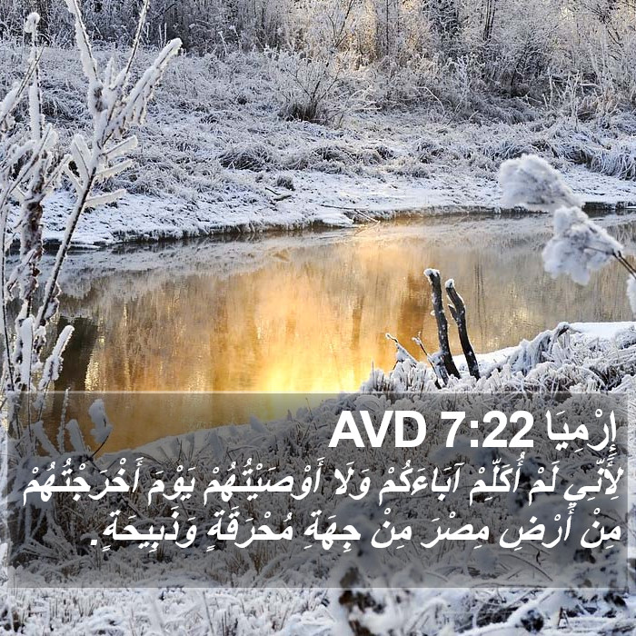 إِرْمِيَا 7:22 AVD Bible Study
