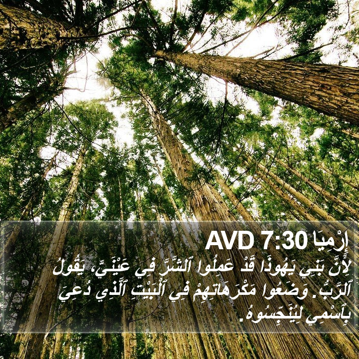 إِرْمِيَا 7:30 AVD Bible Study