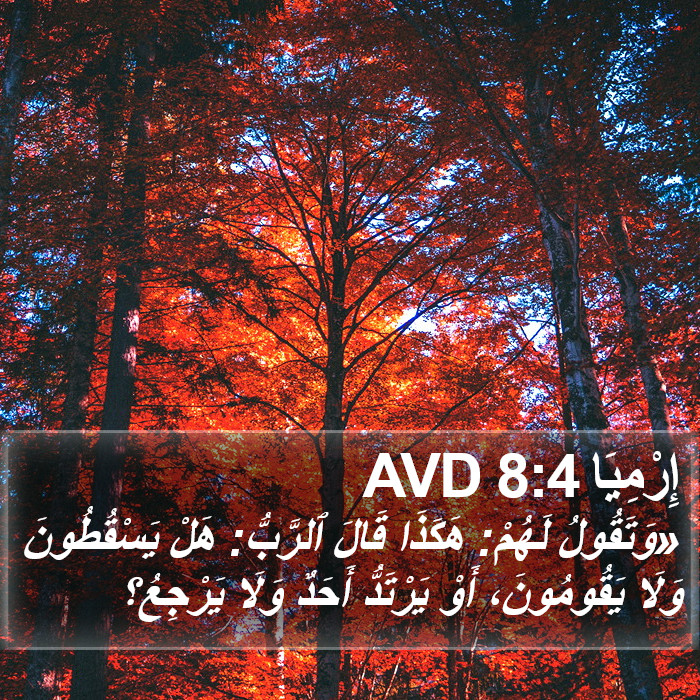 إِرْمِيَا 8:4 AVD Bible Study