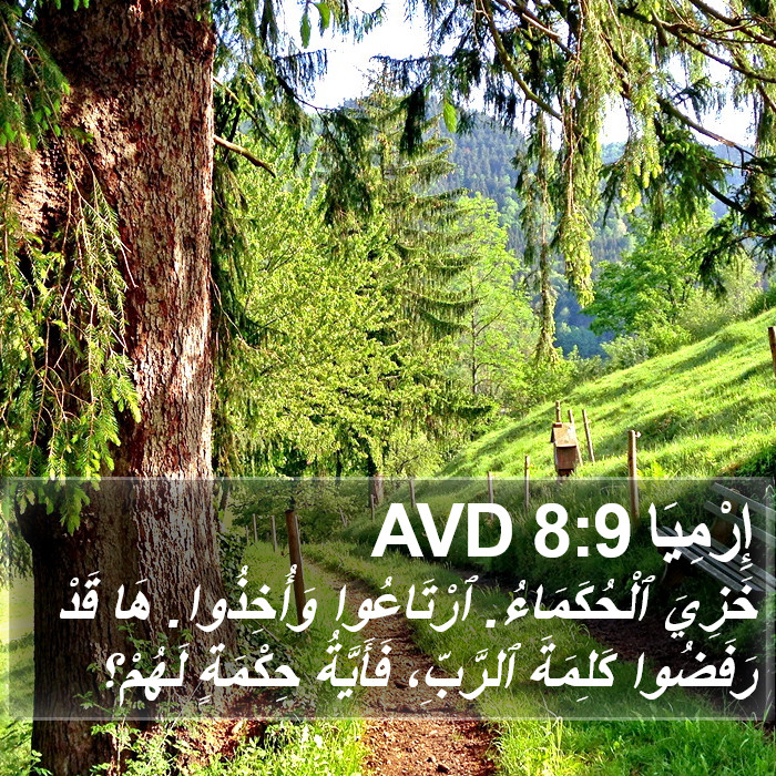 إِرْمِيَا 8:9 AVD Bible Study