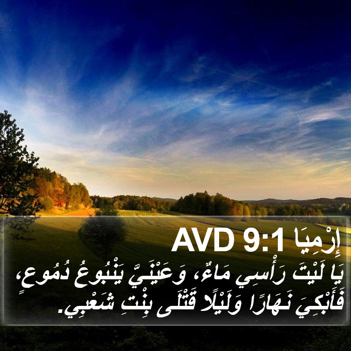 إِرْمِيَا 9:1 AVD Bible Study