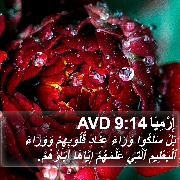 إِرْمِيَا 9:14 AVD Bible Study