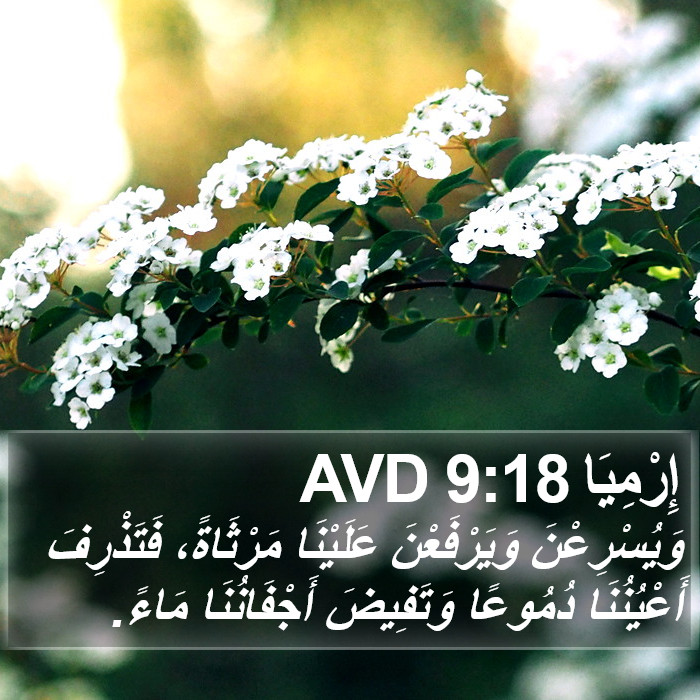 إِرْمِيَا 9:18 AVD Bible Study