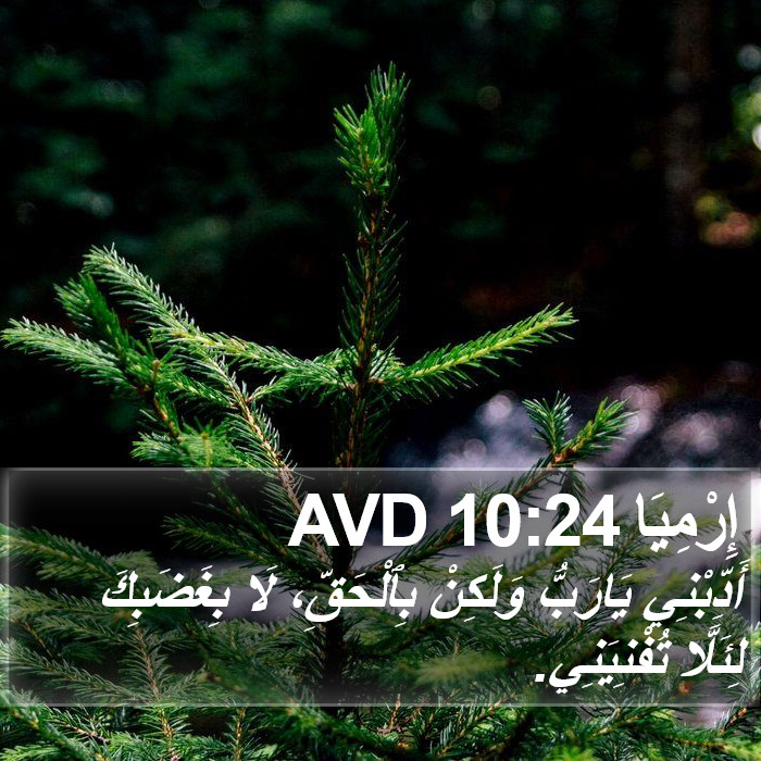 إِرْمِيَا 10:24 AVD Bible Study