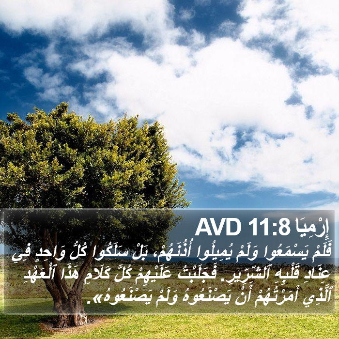 إِرْمِيَا 11:8 AVD Bible Study