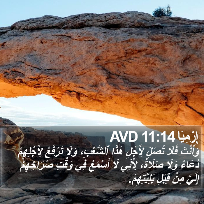 إِرْمِيَا 11:14 AVD Bible Study