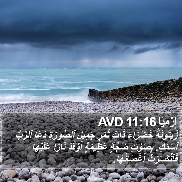 إِرْمِيَا 11:16 AVD Bible Study