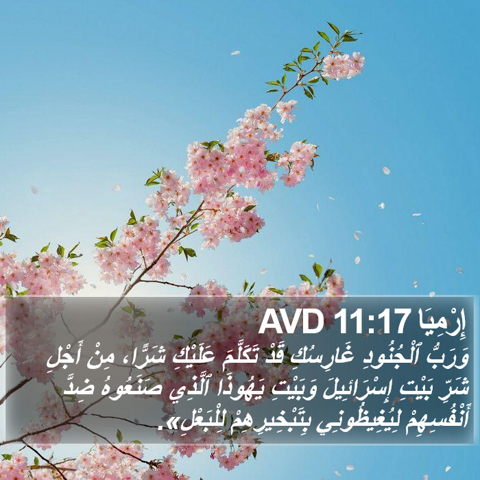 إِرْمِيَا 11:17 AVD Bible Study