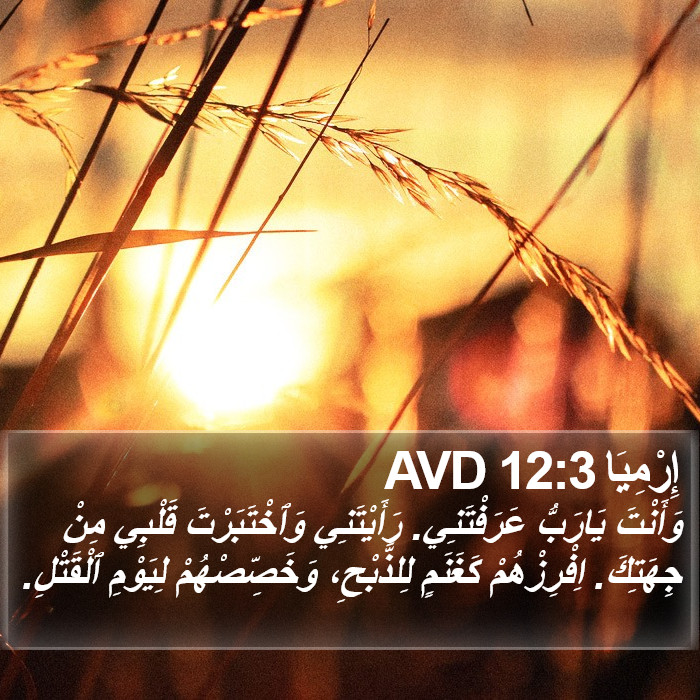 إِرْمِيَا 12:3 AVD Bible Study