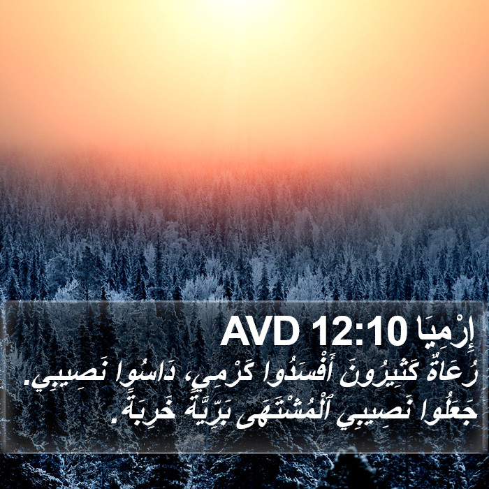إِرْمِيَا 12:10 AVD Bible Study