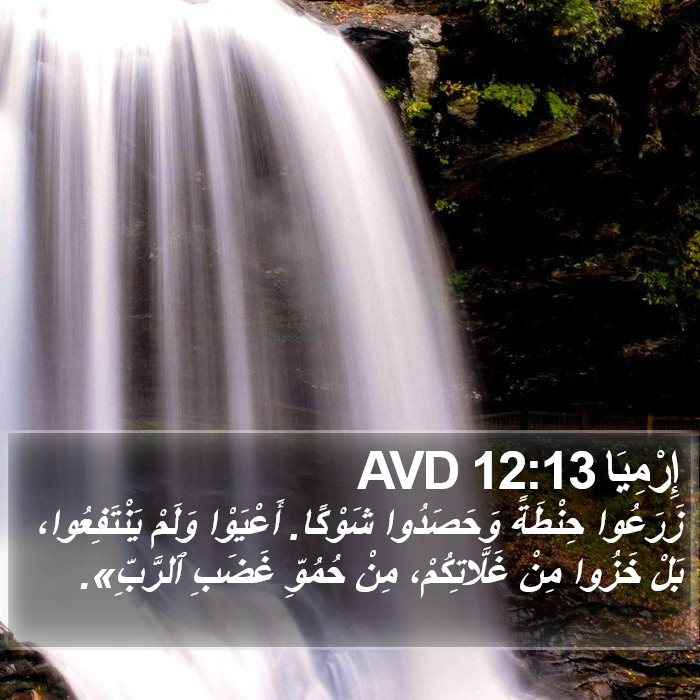 إِرْمِيَا 12:13 AVD Bible Study