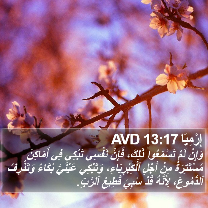 إِرْمِيَا 13:17 AVD Bible Study
