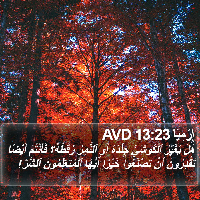 إِرْمِيَا 13:23 AVD Bible Study