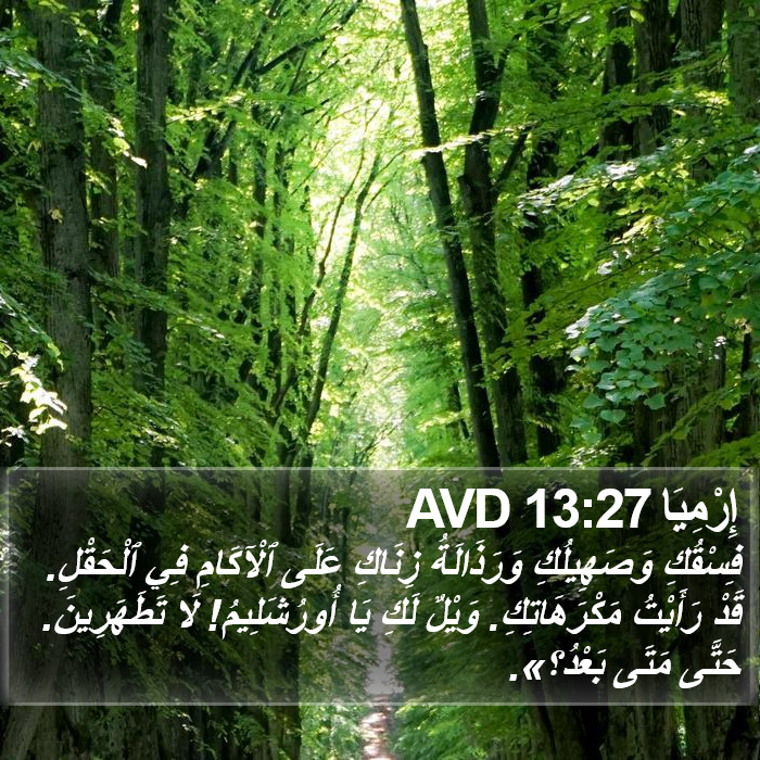 إِرْمِيَا 13:27 AVD Bible Study